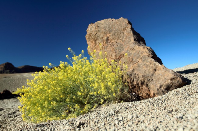 Výstup na sopku Pico de Teide, Tenerife, Kanárské ostrovy