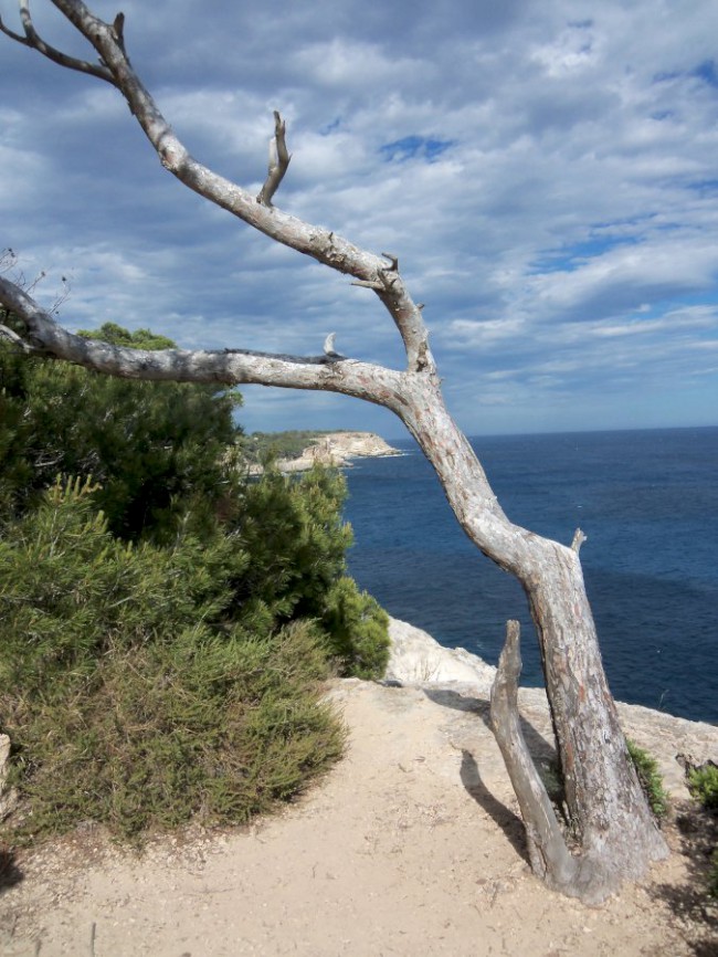 Lezení na skalní oblouk Es Pontas v Cala Santanyí, Mallorca, Baleárské ostrovy, Španělsko