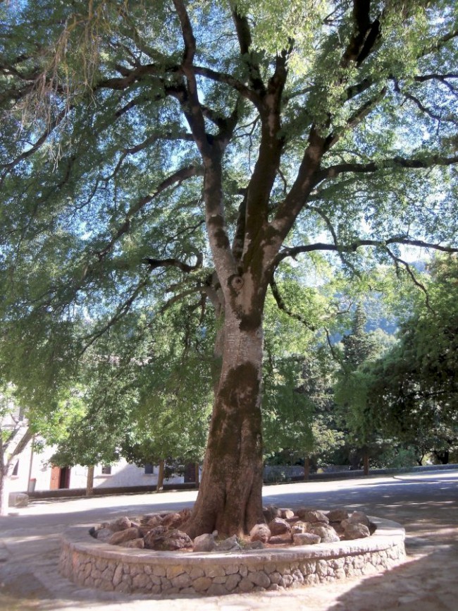 Klášter Santuari de Lluc, pohoří Serra de Tramuntana, Santuari, Mallorca, Baleárské ostrovy, Španělsko