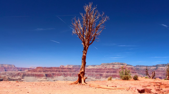 Skeleton point, South Kaibab Trail, Grand Canyon, Arizona, USA