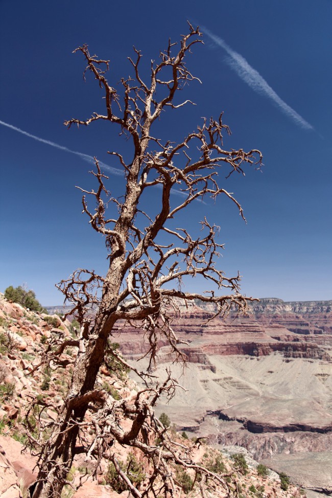 Skeleton point, South Kaibab Trail, Grand Canyon, Arizona, USA