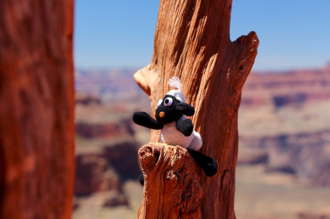 Skeleton point, South Kaibab Trail, Grand Canyon, Arizona, USA