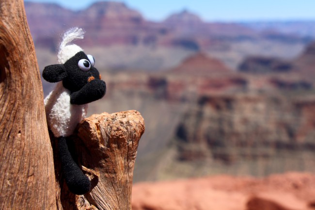 Skeleton point, South Kaibab Trail, Grand Canyon, Arizona, USA