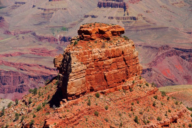 Cedar Ridge, South Kaibab Trail, Grand Canyon, Arizona, USA