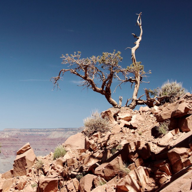 South Kaibab Trailhead, Ooh Aah point, Grand Canyon, Arizona, USA