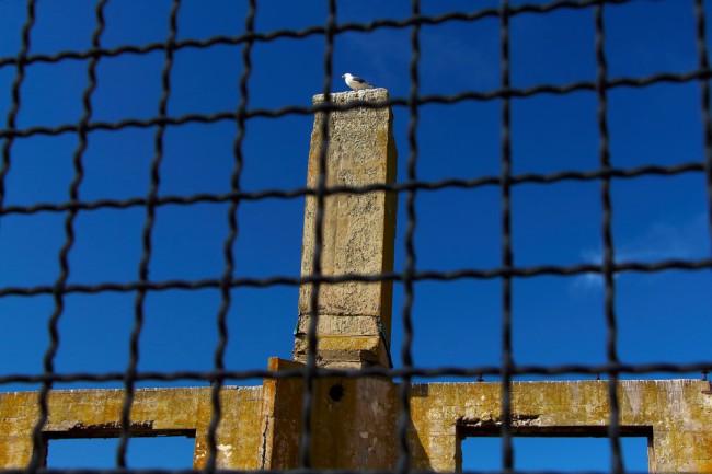 Vězení na ostrově Alcatraz, San Francisco, Kalifornie, USA