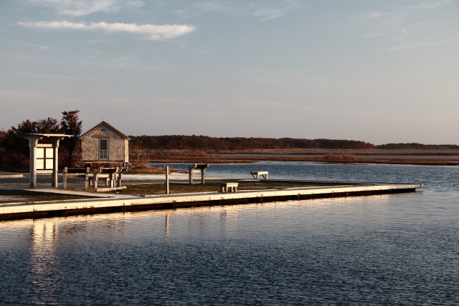 Assateague státní park, Maryland, Spojené státy americké