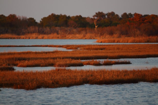 Assateague státní park, Maryland, Spojené státy americké