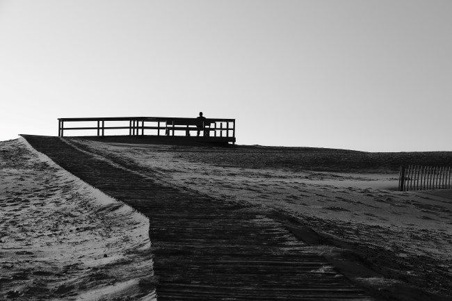 Assateague státní park, Maryland, Spojené státy americké
