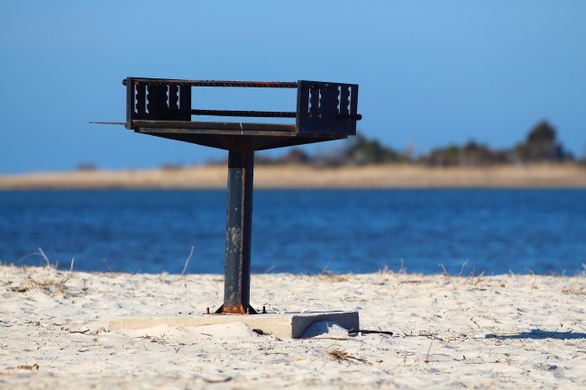 Assateague státní park, Maryland, Spojené státy americké