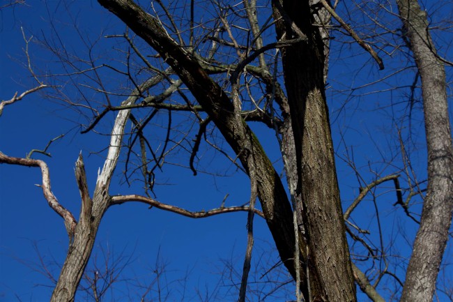 Rock Creek regionální park, Needwood, Rockvile, Maryland, Spojené státy americké (USA)