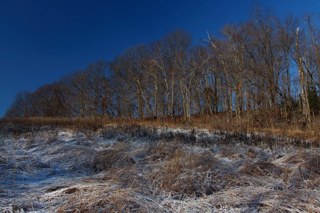 Rock Creek regionální park, Needwood, Rockvile, Maryland, Spojené státy americké (USA)