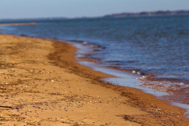 Jižní pláž, Sandy Point státní park, Maryland, Spojené státy americké (USA)