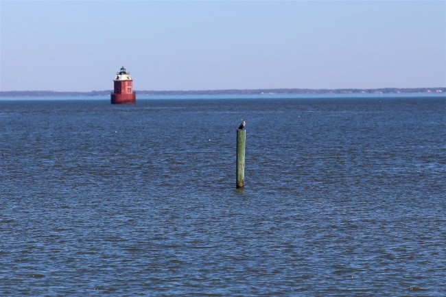 Jižní pláž, Sandy Point státní park, Maryland, Spojené státy americké (USA)