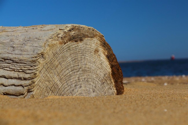 Jižní pláž, Sandy Point státní park, Maryland, Spojené státy americké (USA)