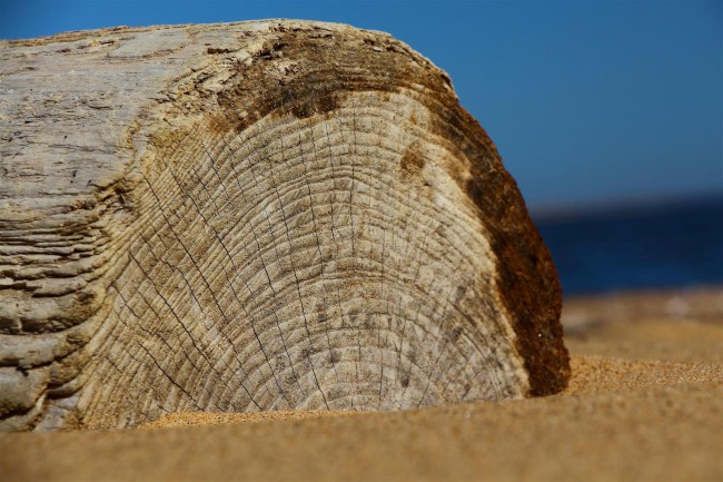 Jižní pláž, Sandy Point státní park, Maryland, Spojené státy americké (USA)