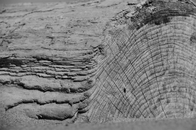 Jižní pláž, Sandy Point státní park, Maryland, Spojené státy americké (USA)