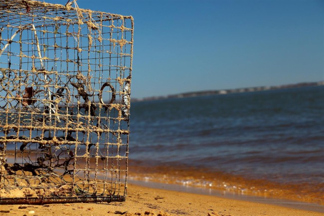 Jižní pláž, Sandy Point státní park, Maryland, Spojené státy americké (USA)