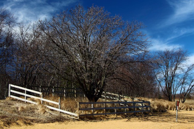 Východní pláž, Sandy Point státní park, Maryland, Spojené státy americké (USA)