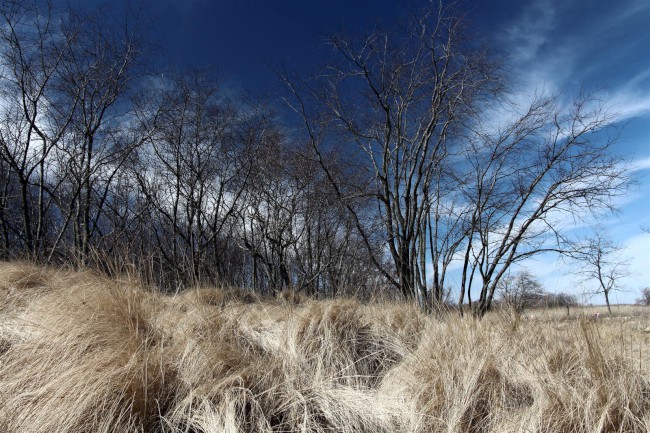 Východní pláž, Sandy Point státní park, Maryland, Spojené státy americké (USA)