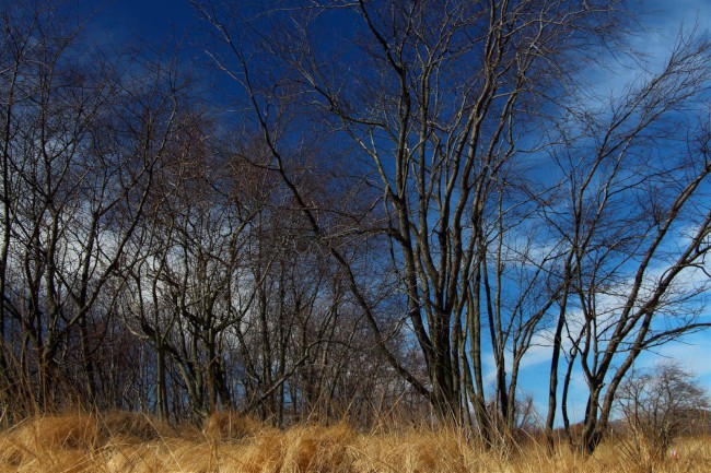 Východní pláž, Sandy Point státní park, Maryland, Spojené státy americké (USA)