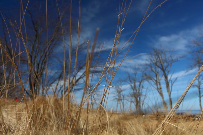 Východní pláž, Sandy Point státní park, Maryland, Spojené státy americké (USA)