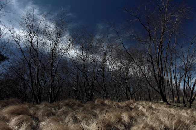 Východní pláž, Sandy Point státní park, Maryland, Spojené státy americké (USA)