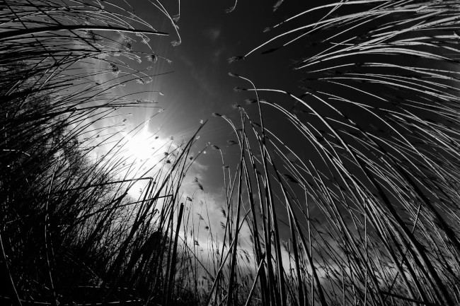 Východní pláž, Sandy Point státní park, Maryland, Spojené státy americké (USA)