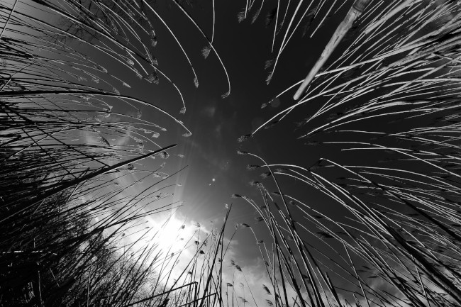 Východní pláž, Sandy Point státní park, Maryland, Spojené státy americké (USA)