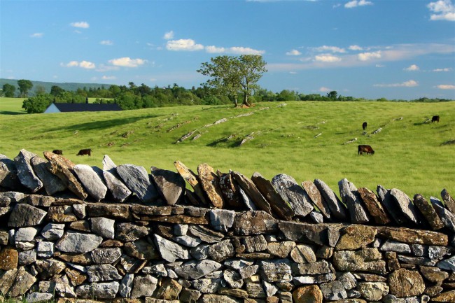 Antietam národní bitevní pole, Sharpsburg, Maryland, USA