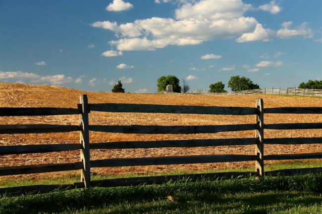 Antietam národní bitevní pole, Sharpsburg, Maryland, USA