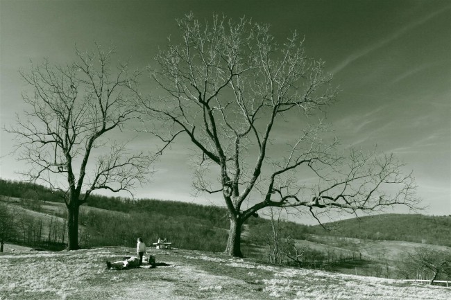 Sky Meadows státní park, White Post, Front Royal, Virginie, USA