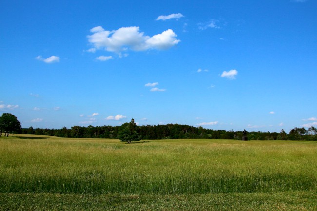 Manassas, Národní bitevní pole, Virginie, USA