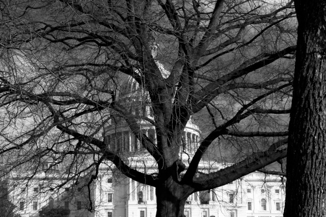 Kapitol Spojených států amerických, Washington D.C., Spojené státy americké (USA)