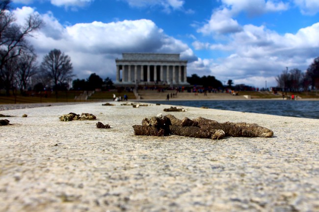 Lincolnův památník, Zrcadlící bazén, Washington D.C., Spojené státy americké (USA)