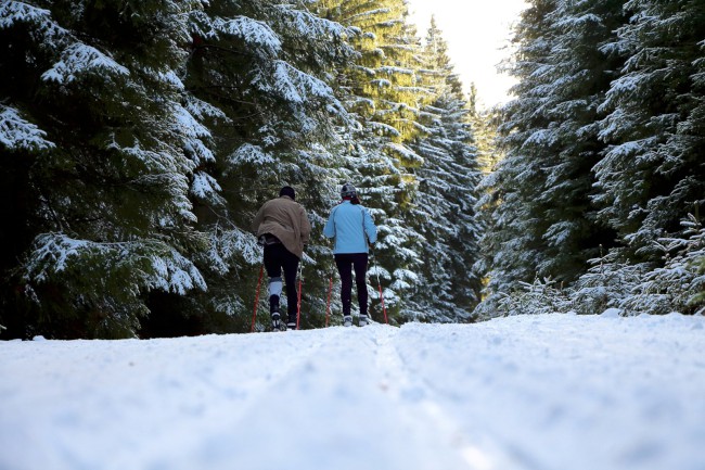 Rudská křižovatka, Bukovina, Gerlova Huť, Běžecké lyžování, Šumava