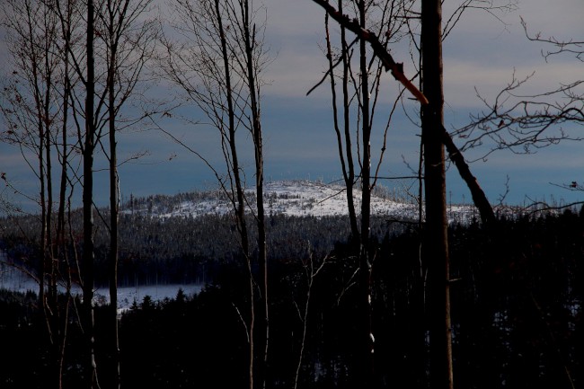 Rudská křižovatka, Bukovina, Gerlova Huť, Běžecké lyžování, Šumava