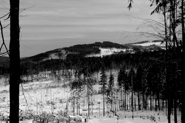 Rudská křižovatka, Bukovina, Gerlova Huť, Běžecké lyžování, Šumava