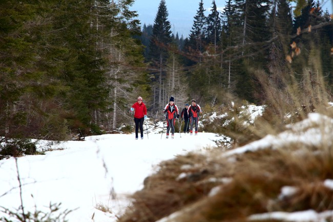 Výstup na horu Poledník, Prášily, Běžecké lyžování, Šumava