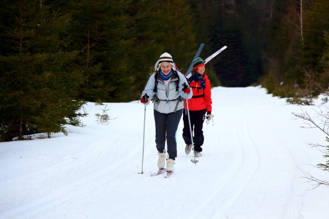 Výstup na horu Poledník, Prášily, Běžecké lyžování, Šumava