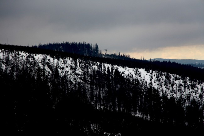 Výstup na horu Poledník, Prášily, Běžecké lyžování, Šumava