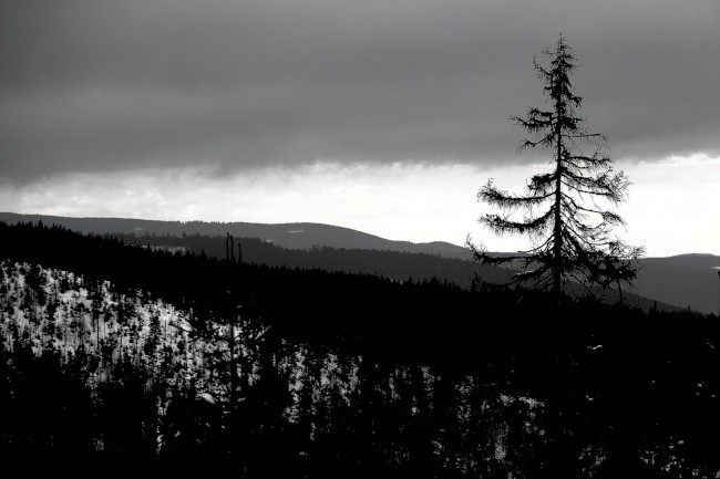 Výstup na horu Poledník, Prášily, Běžecké lyžování, Šumava