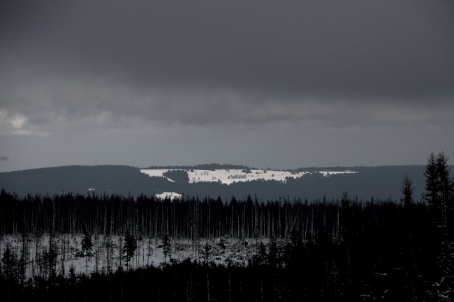 Výstup na horu Poledník, Prášily, Běžecké lyžování, Šumava