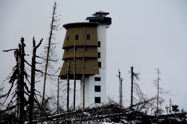 Výstup na horu Poledník, Prášily, Běžecké lyžování, Šumava