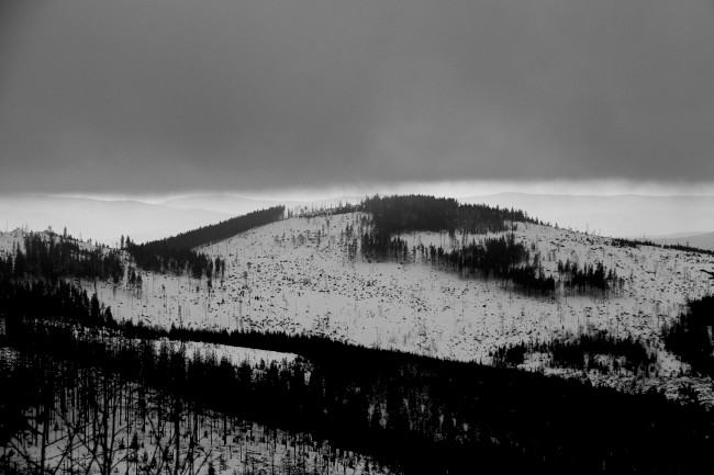 Výstup na horu Poledník, Prášily, Běžecké lyžování, Šumava