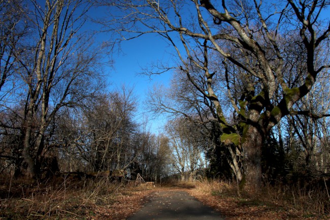 Hůrecké údolí, Stará Hůrka, Šumava, Západní čechy