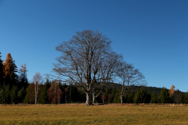 Hůrecké údolí, Stará Hůrka, Šumava, Západní čechy