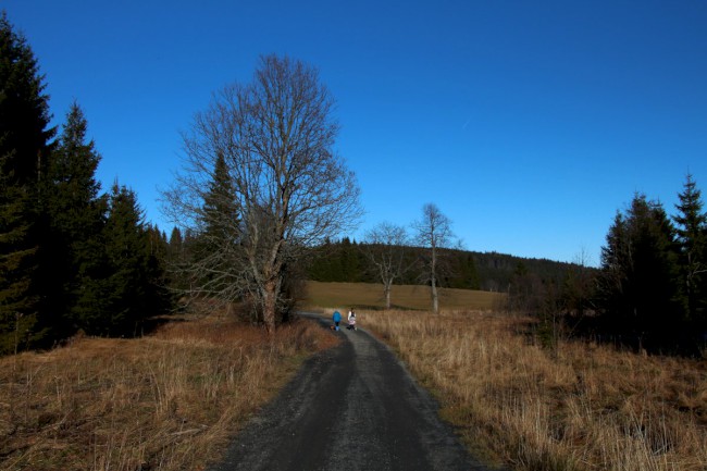 Hůrecké údolí, Stará Hůrka, Šumava, Západní čechy