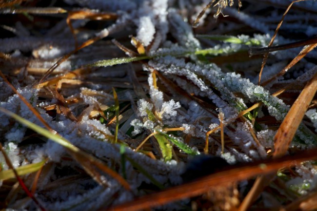 Hůrecké údolí, Stará Hůrka, Šumava, Západní čechy