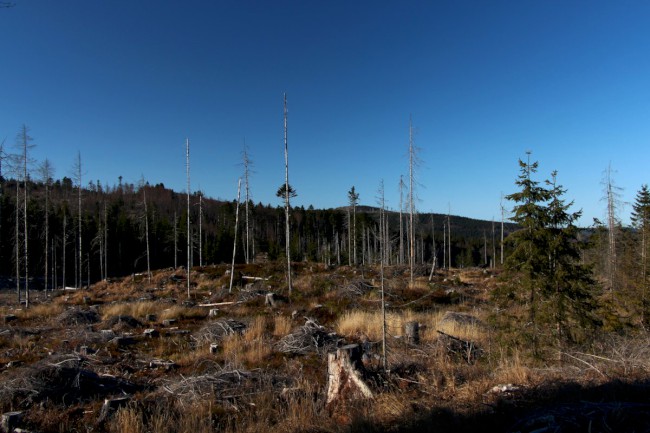 Hůrecké údolí, Stará Hůrka, Šumava, Západní čechy